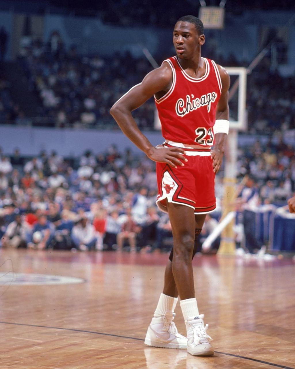 找回了与强 找回了与强